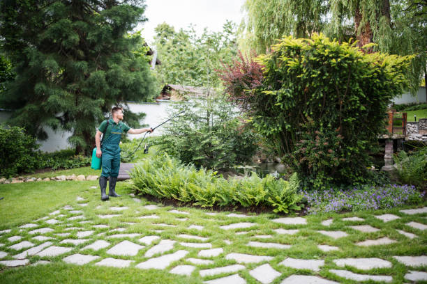 Best Insect Control  in Strodes Mills, PA
