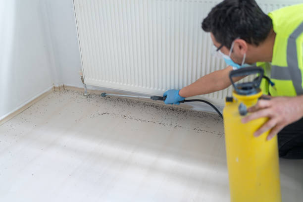 Best Ant Control Services  in Strodes Mills, PA